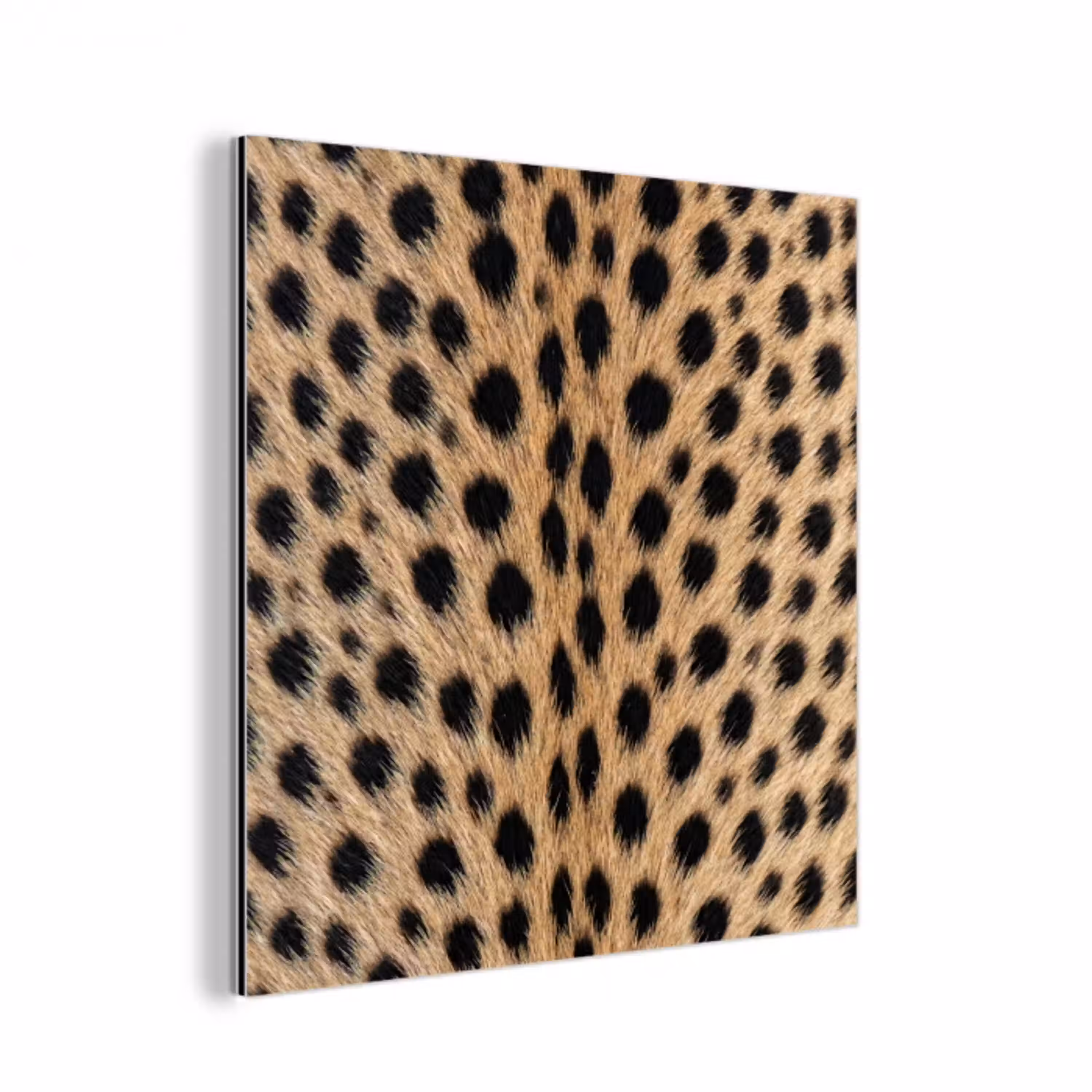 Vacht - Jachtluipaard - Zwart - Wit aluminium wit klein -3d