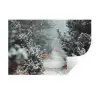 Bos - Winter - Bomen - Natuur - Pad - Sneeuw Muursticker klein -3d