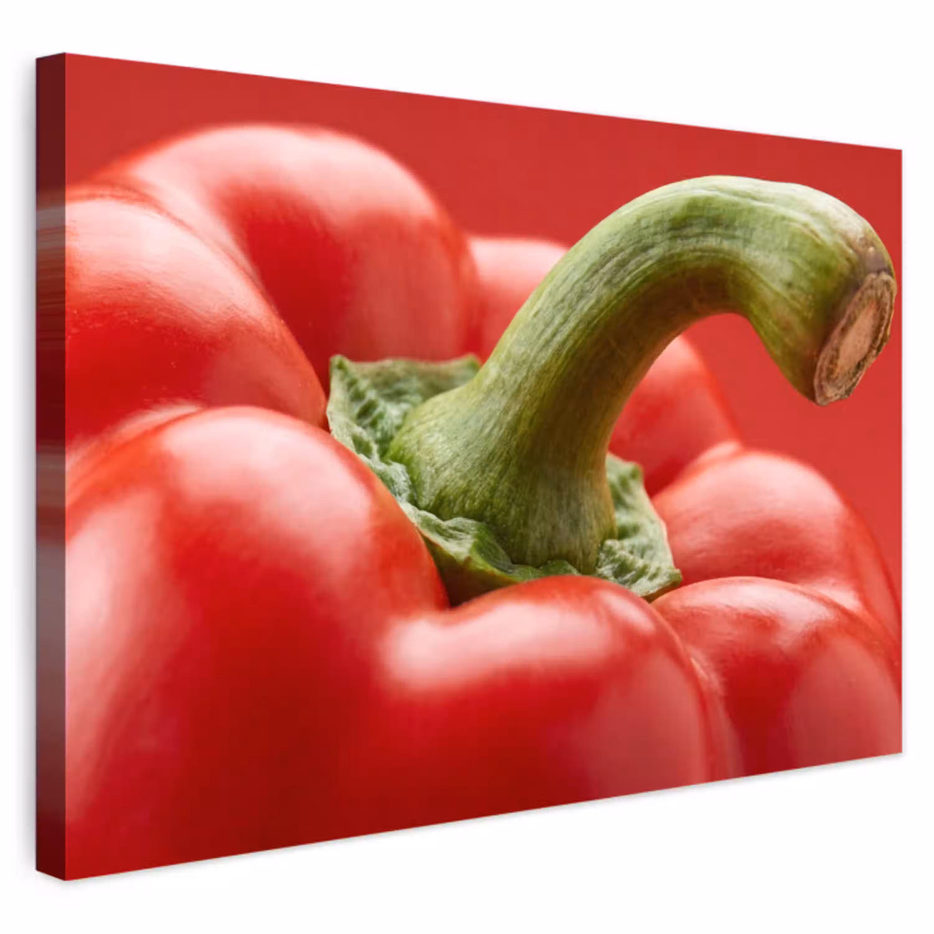 Eten - Paprika - Rood Tuinposter op houten frame 2 cm dik klein -3d