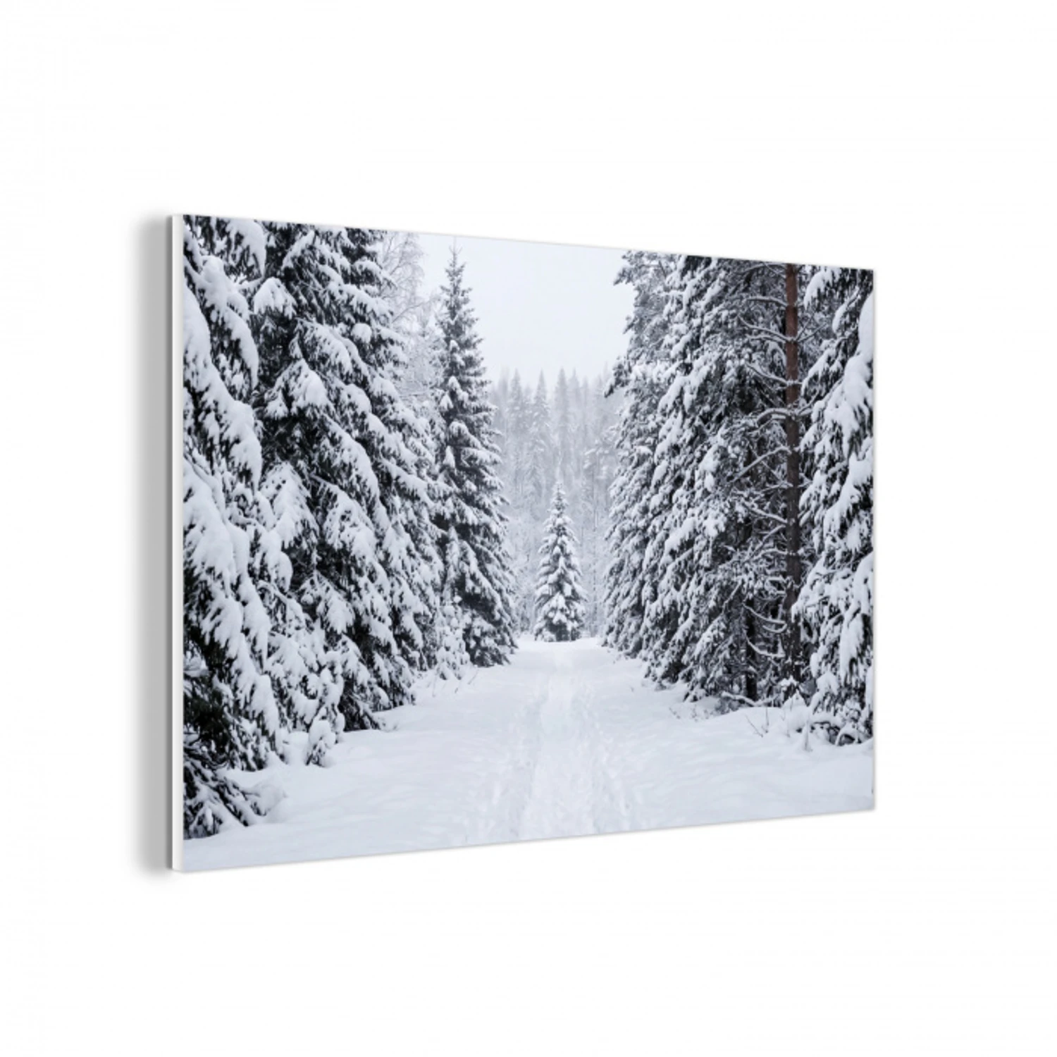 Bos - Winter - Sneeuw - Pad - Natuur forex 5mm xxl -3d
