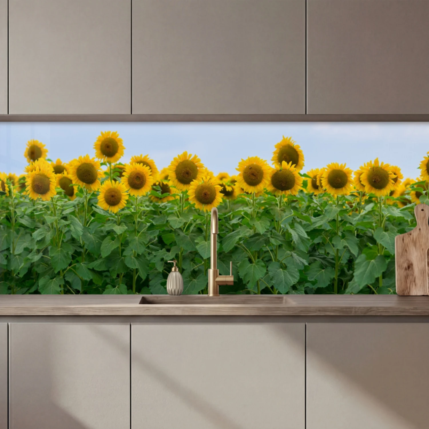 Zonnebloemen - Geel - Natuur keuken achterwand 2 middel zz_3dshopping