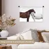 Paard - Modern - Balans Wandkleed katoen klein -sfeer1