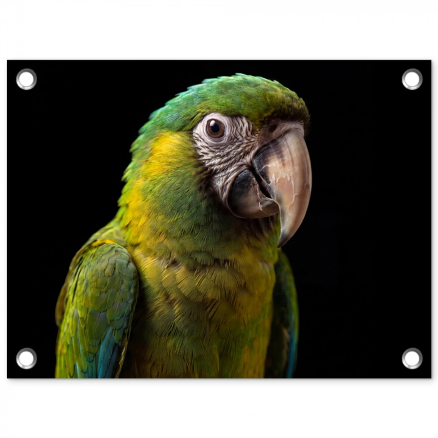 Ara - Portret - Groen tuinposter los doek klein -3d