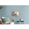 Uil - Bruin - Wit Muursticker klein -plant