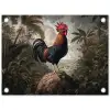 Haan - Rots - Landschap - Wolken tuinposter los doek klein -3d