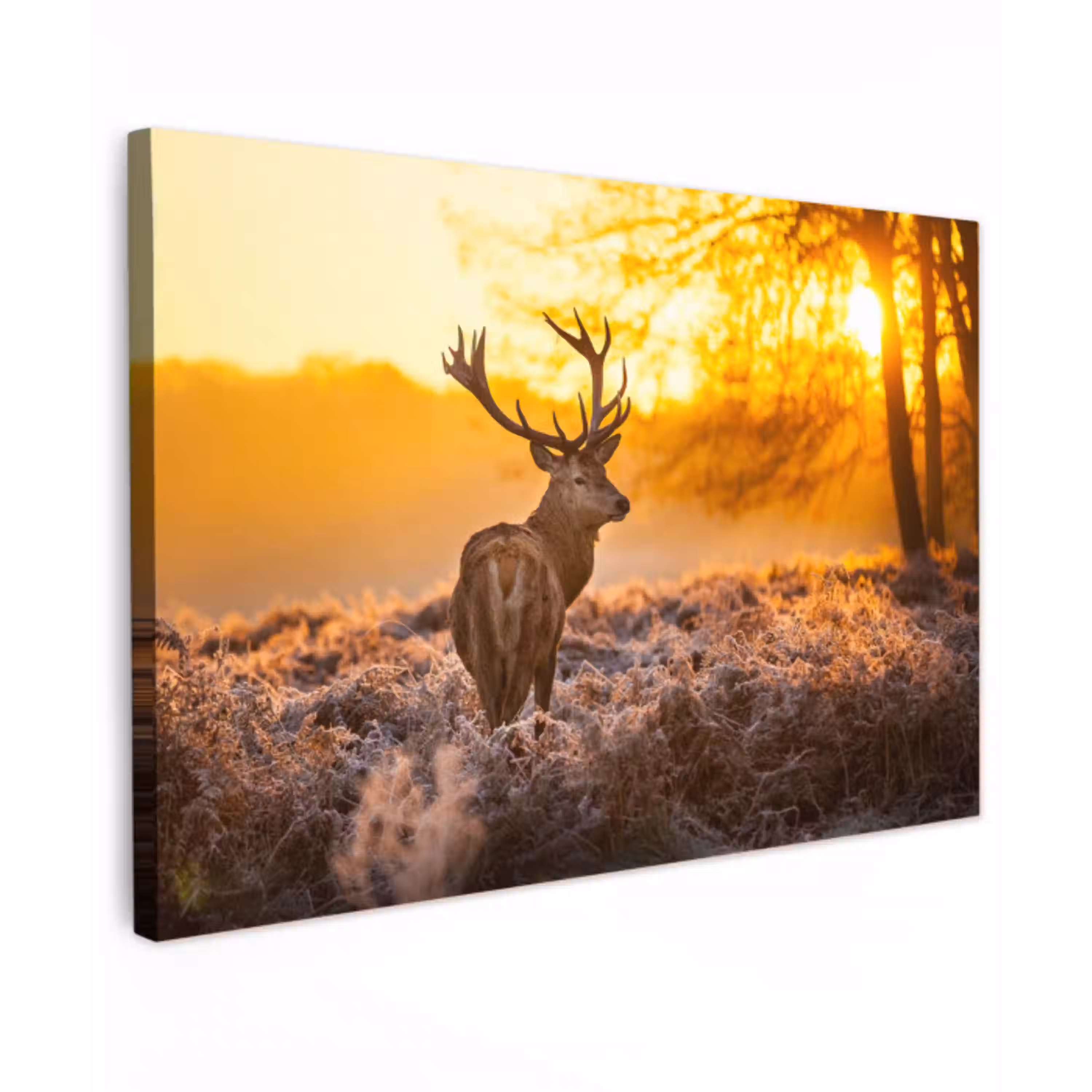 Hert - Dieren - Zonsondergang - Winter - Heide - Natuur canvas 2cm klein -z3d