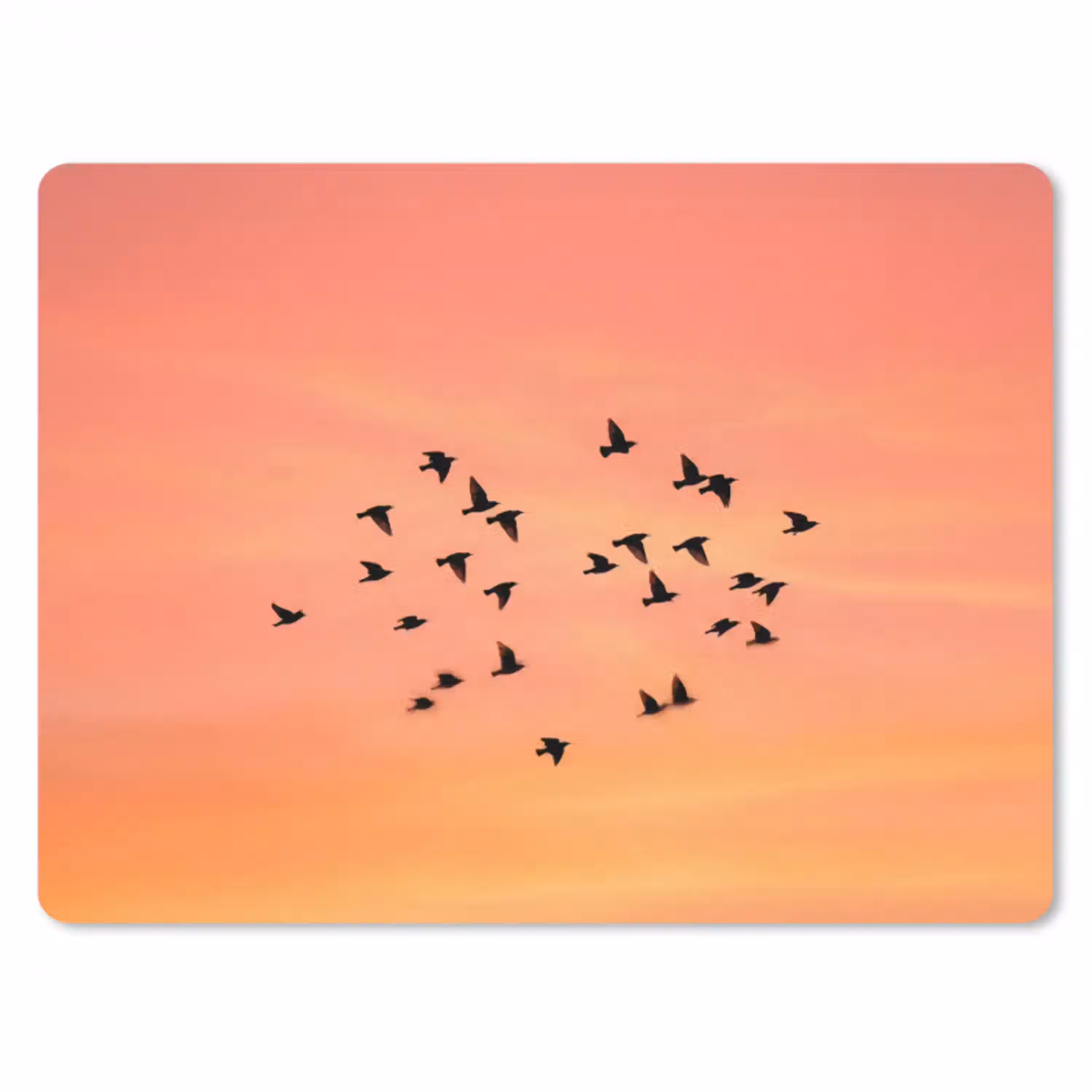 Zwerm - Vogels - Oranje muismat rubber klein -3d