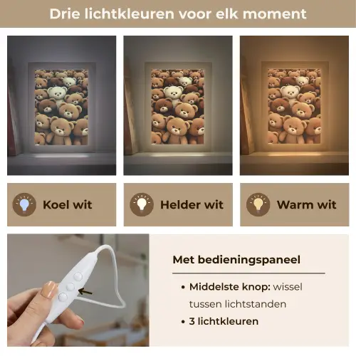 Teddybeer - Knuffel - Bruin - Beer - Jongens - Meisjes Light Box met kabel klein -USP_lichtkleurNL