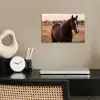 Paard - Zonsondergang - Bruin poster papier klein -sfeer1
