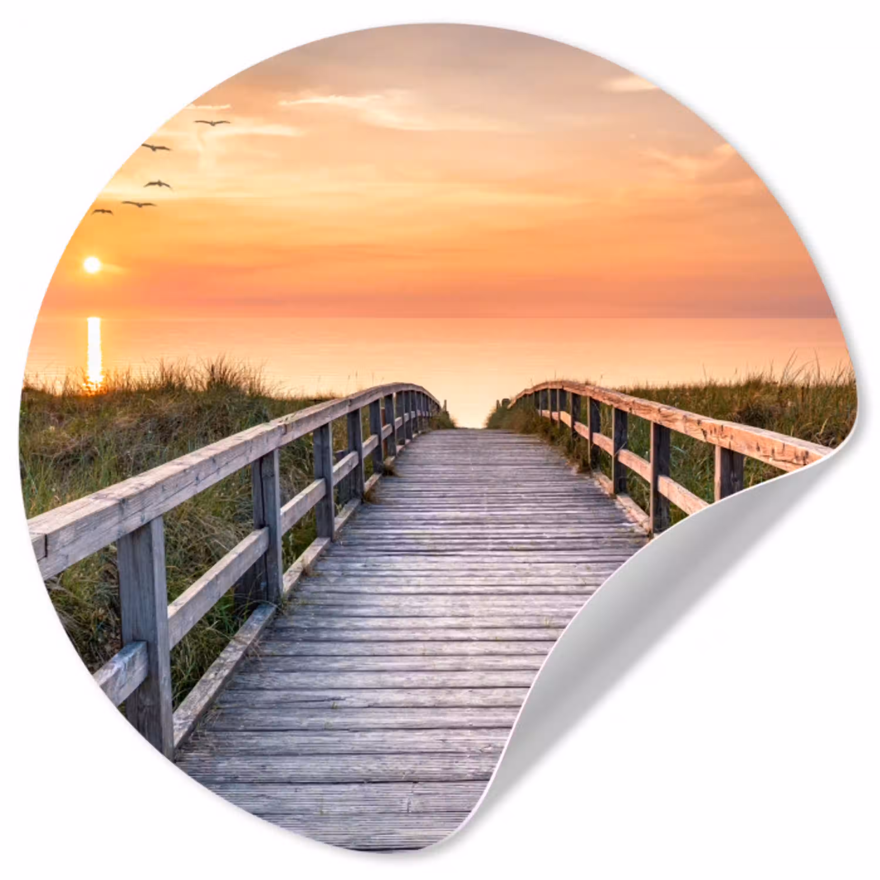 Zonsonderang - Zee - Pad - Gras - Duin - Vogels Wandcirkel behangsticker klein -3d