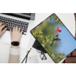 Kolibrie - Bloem - Natuur - Groen laptophoes neopreen klein -bureau