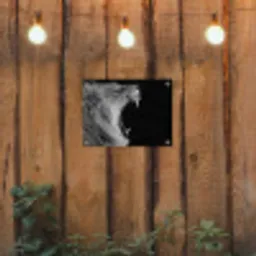 Dieren - Leeuw - Zwart - Wit - Portret tuinposter los doek klein -sfeer1