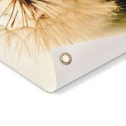 ontwerp-zonder-titel-2024-03-18t154311452-4.png
