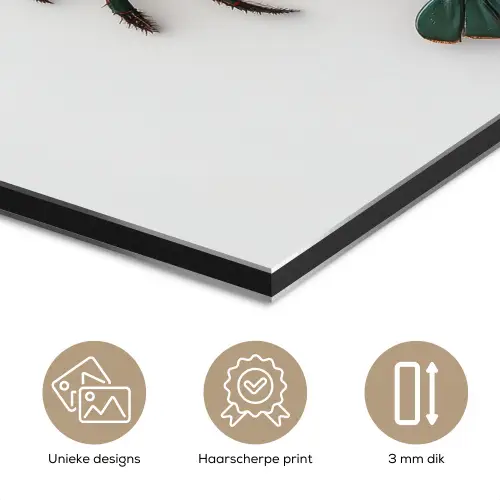 Kreeft - Glossier - Groen - Wit aluminium wit klein -closeup_NL