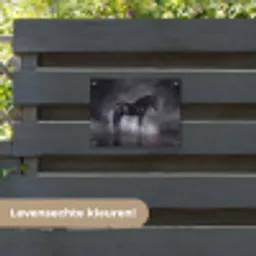 Paard - Magisch - Zwart tuinposter los doek klein -sfeer3