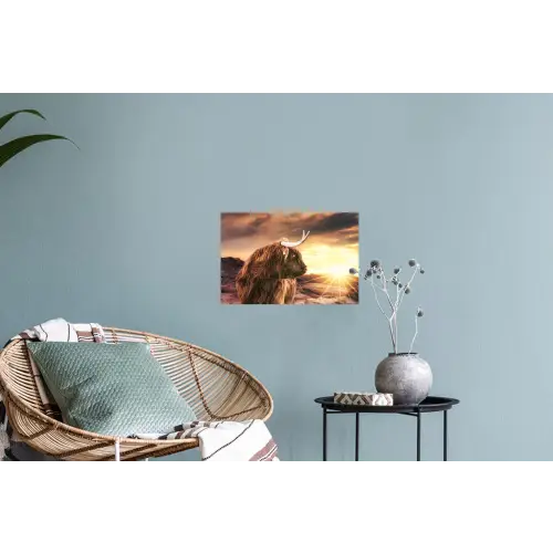 Schotse hooglander - Zon - Horizon - Koe - Dieren Muursticker klein -plant