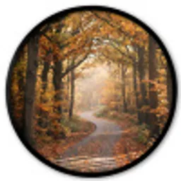 Bospad - Herfstbos - Bladeren - Oranje - Nostalgisch Fotolijst rond zonder passe partout klein -3d
