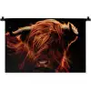 Schotse hooglander - Koe - Hoorns - Portret - Dieren Wandkleed katoen klein -zz3d