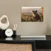 Koala - Bladeren - Ochtendlicht poster papier klein -sfeer1