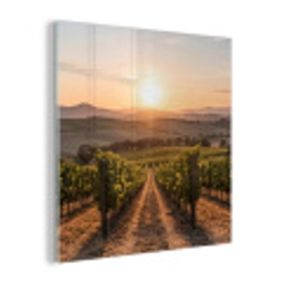 Wijngaard - Zonsondergang - Landschap plexiglas 5mm klein -z3d