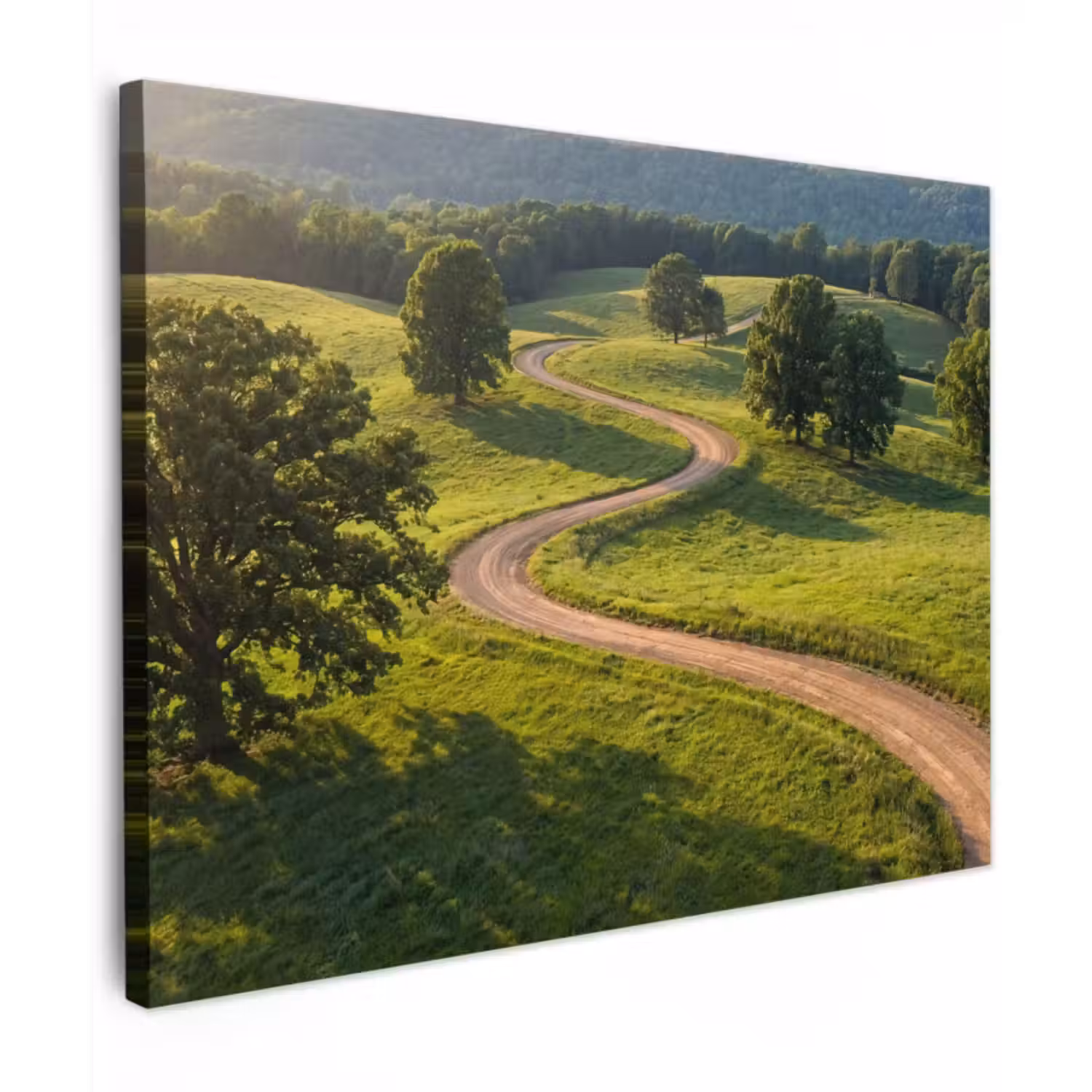 Canvas Print - Road - Winding - Nature - Green