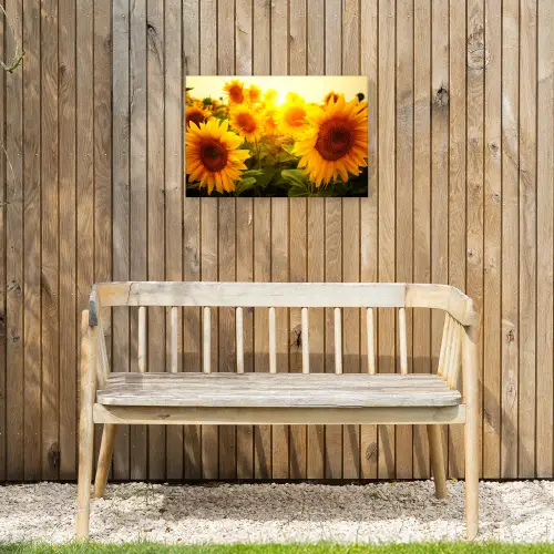 Zonnebloemen in het zonlicht Tuinposter op houten frame 2 cm dik klein -sfeer4
