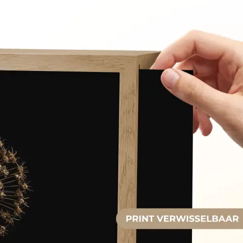 Bol - Gedroogd - Vaas - Zwart Light Box met batterij (Wandlamp) middel -USP_websiteprintNL