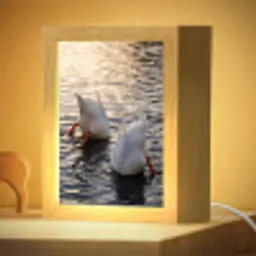 Eenden - Water - Natuur Light Box met kabel (Kinderlampje) klein -zzzz_3d_website
