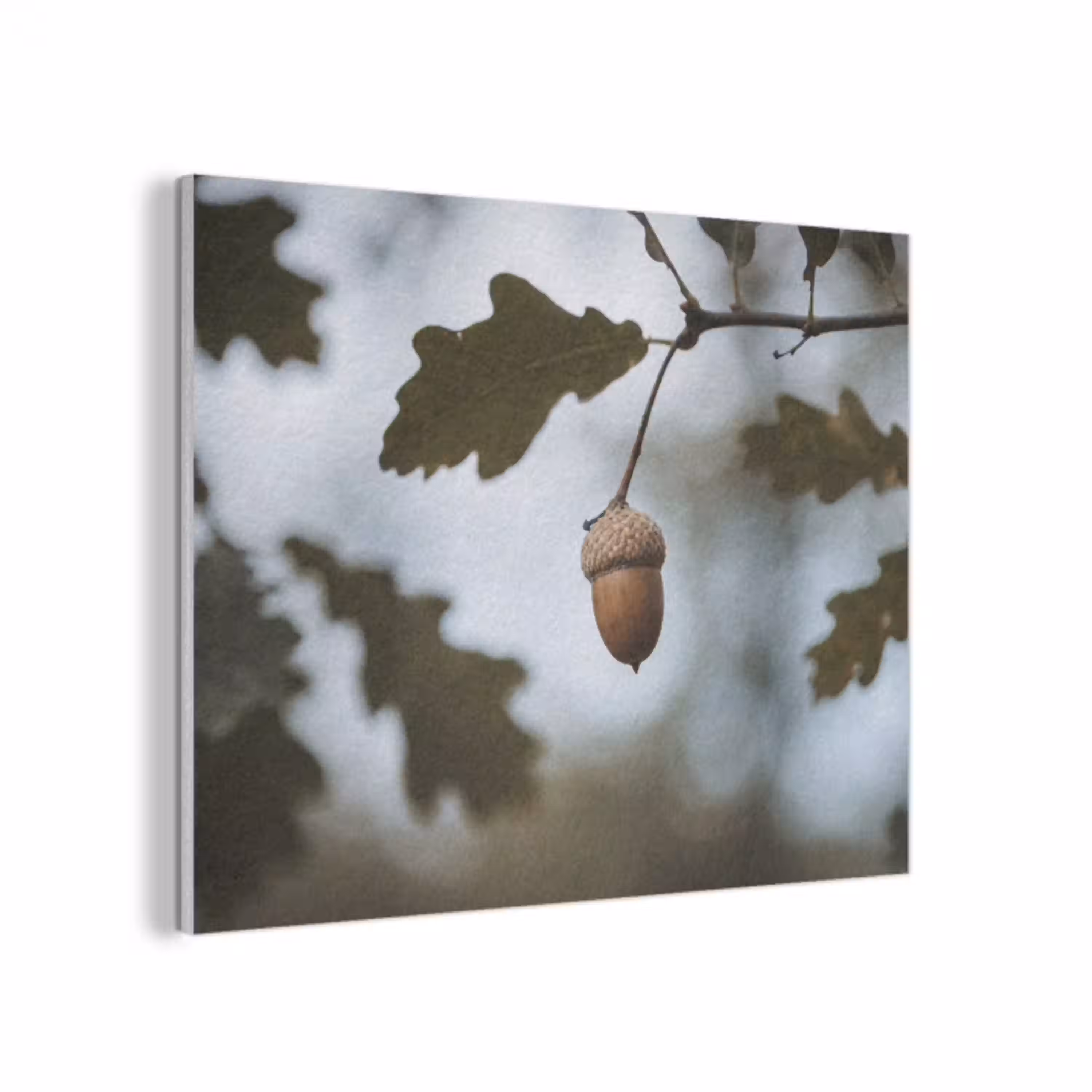 Eikel - Eikenblad - Bos - Herfst - Natuur PET vilt klein -3d