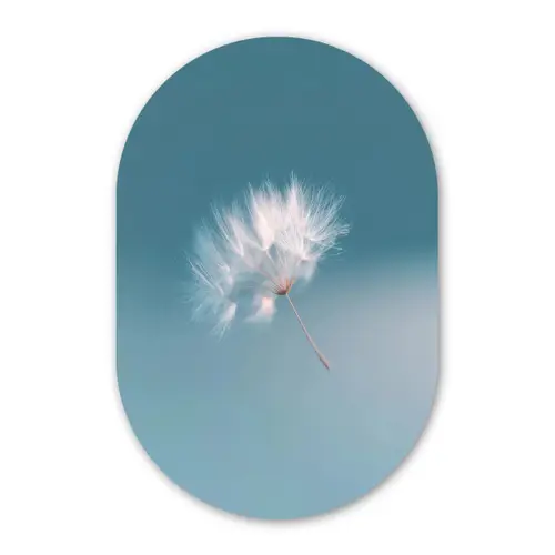 Paardenbloempluisje - Blauw - Lucht Wandcirkel Ovaal Forex klein -3d