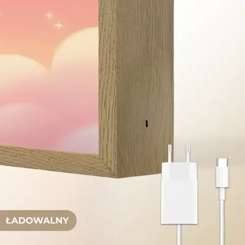Dier - Roze - Wolken Light Box met batterij (Wandlamp kind) middel -USP_websiteoplaadbaarNL