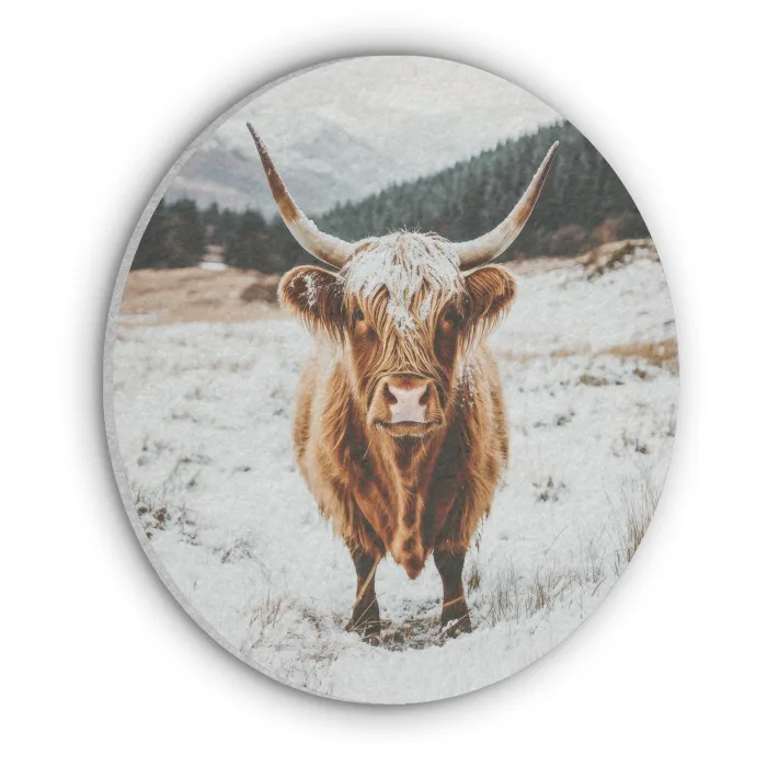 Schotse Hooglander - Landschap - Sneeuw - Bergen - Winter Akoestische PET Vilt - Rond klein -3d
