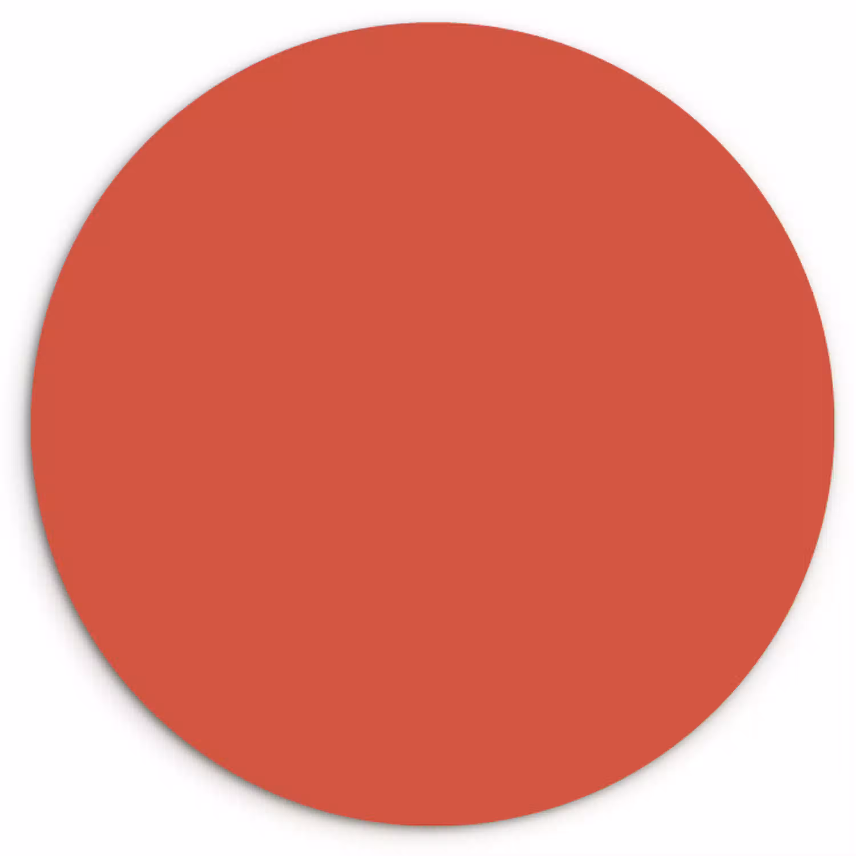 Brick - Red - Rood Wandcirkel kunststof plaat 5mm dik klein 188 -3d