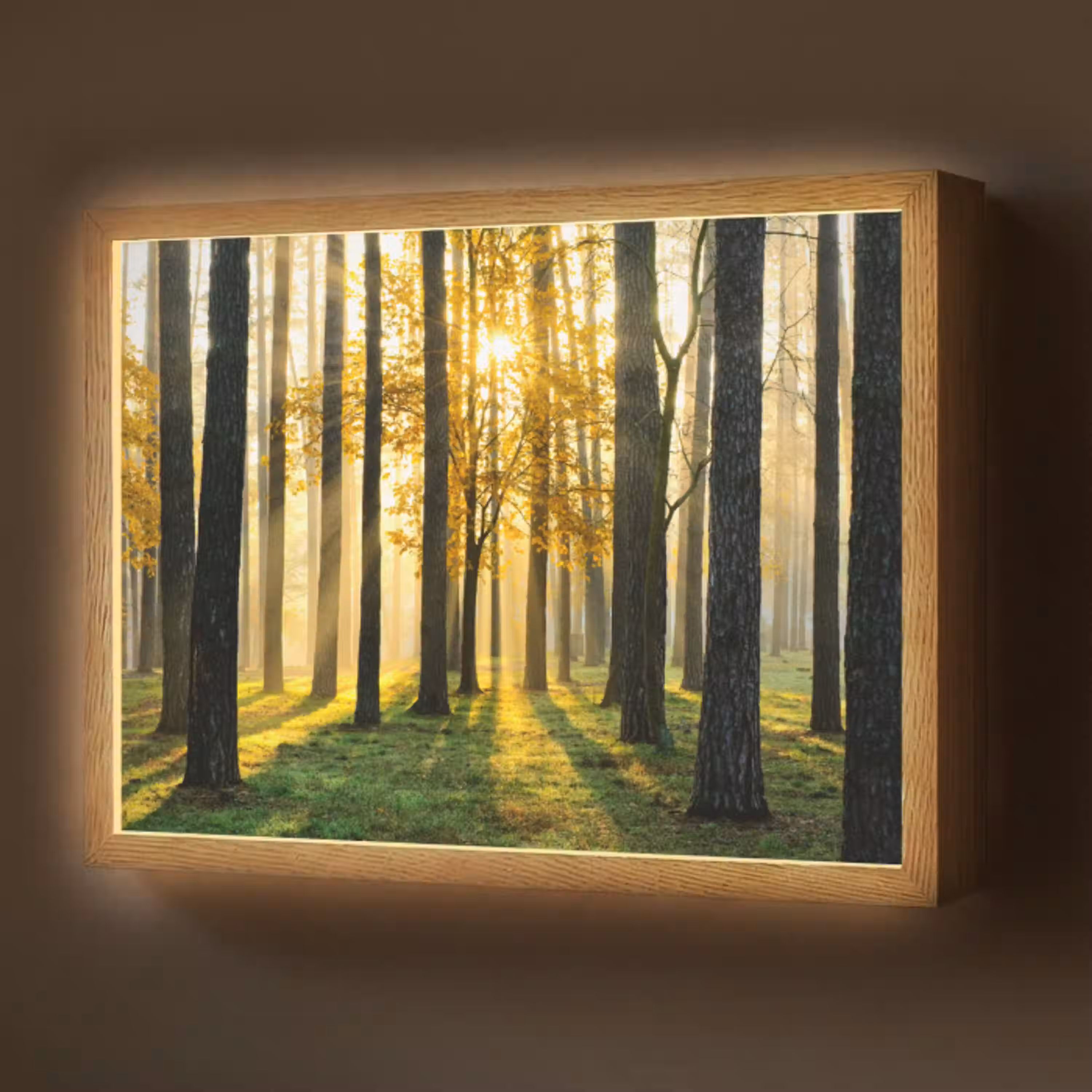 Bos - Zon - Bomen - Gras - Landschap  - Natuur Light Box met batterij (Wandlamp) middel -z3d_website