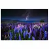 Bloemen - Nacht - Lupine - Sterrenhemel - Paars - Natuur poster papier klein -3d