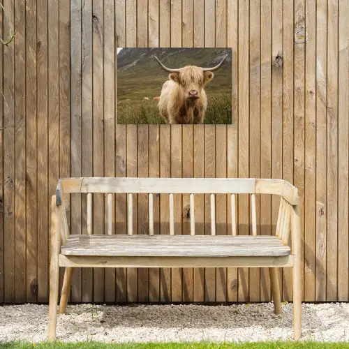 Schotse hooglander - Bergen - Grasveld Tuinposter op houten frame 2 cm dik klein -sfeer4