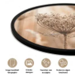 Schermbloem - Droogbloem - Winter - Beige - Minimalistisch Fotolijst rond zonder passe partout klein -closeup_NL