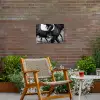 Paard - Sport - Zwart - Wit Tuinposter op houten frame 2 cm dik klein -sfeer3