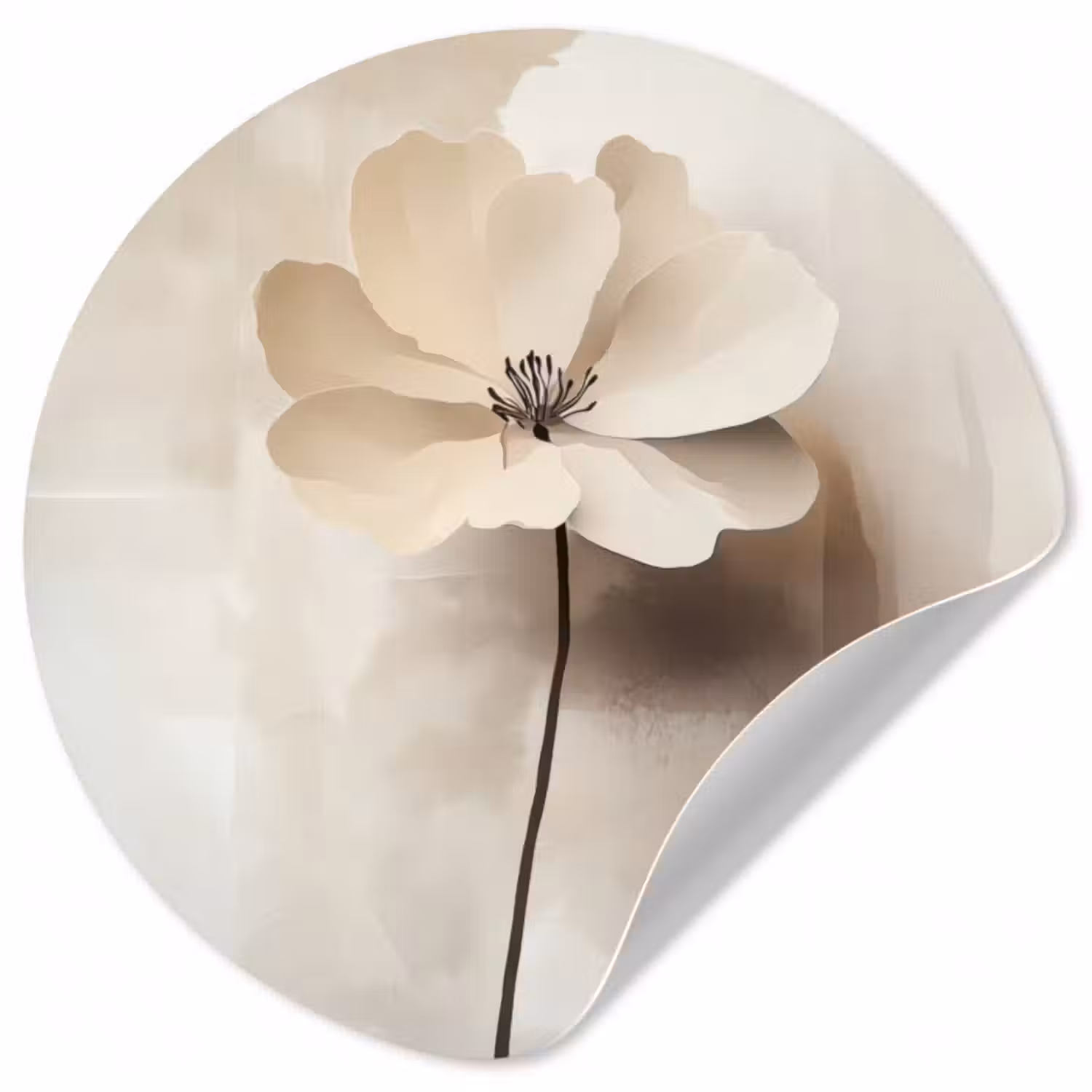 Runde Tapete - Blume - Beige - Farbe - Schatten