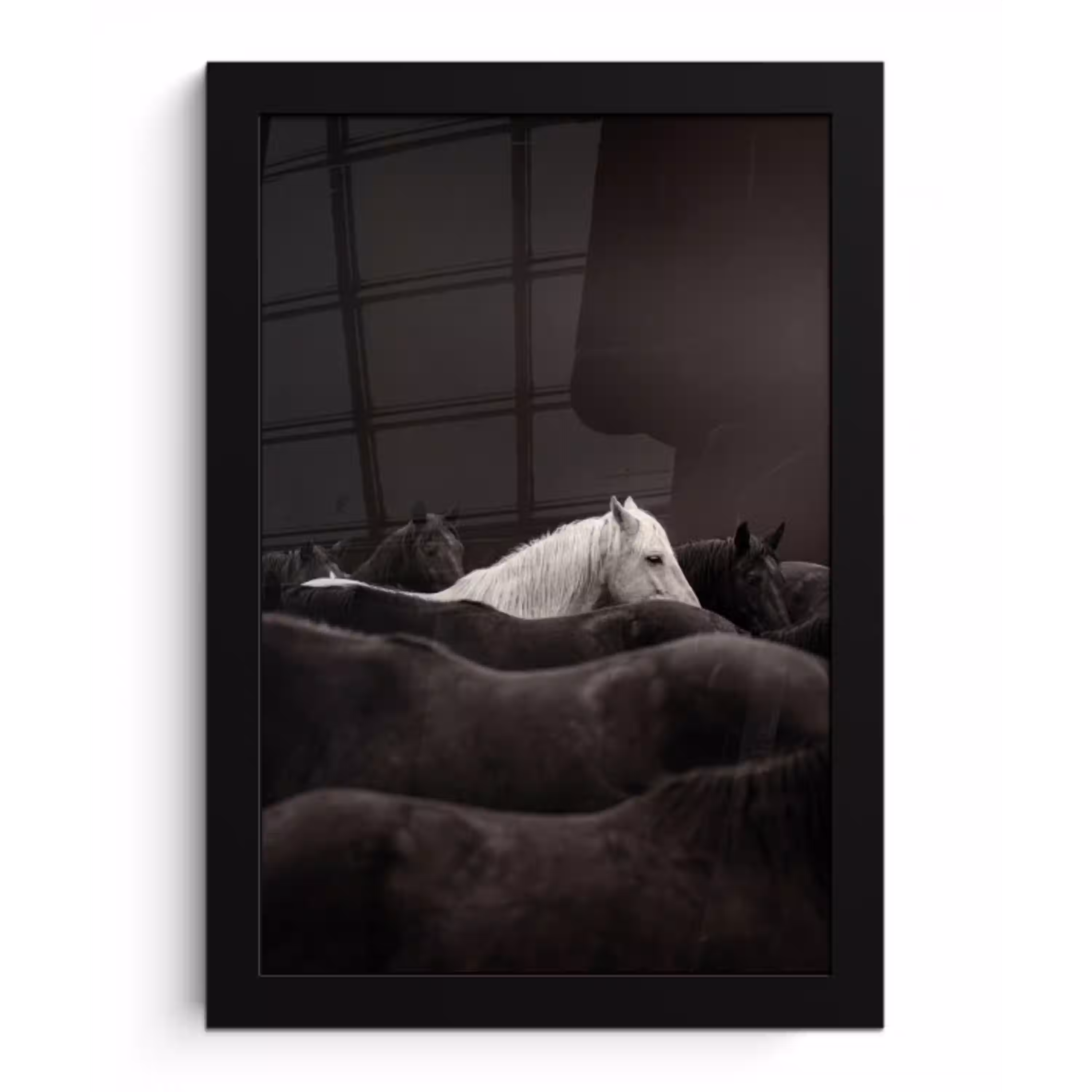Paarden - Zwart - Wit - Kudde fotolijst zwart zonder passe partout klein -3d