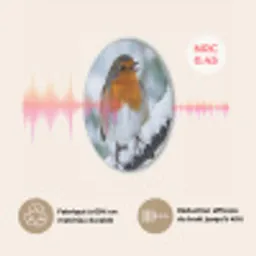 Roodborstje - Tak - Sneeuw - Winter - Levendig Akoestische PET Vilt - Rond klein -USP_FR