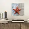 Zeester - Strand - Zee plexiglas 5mm klein -sfeer1
