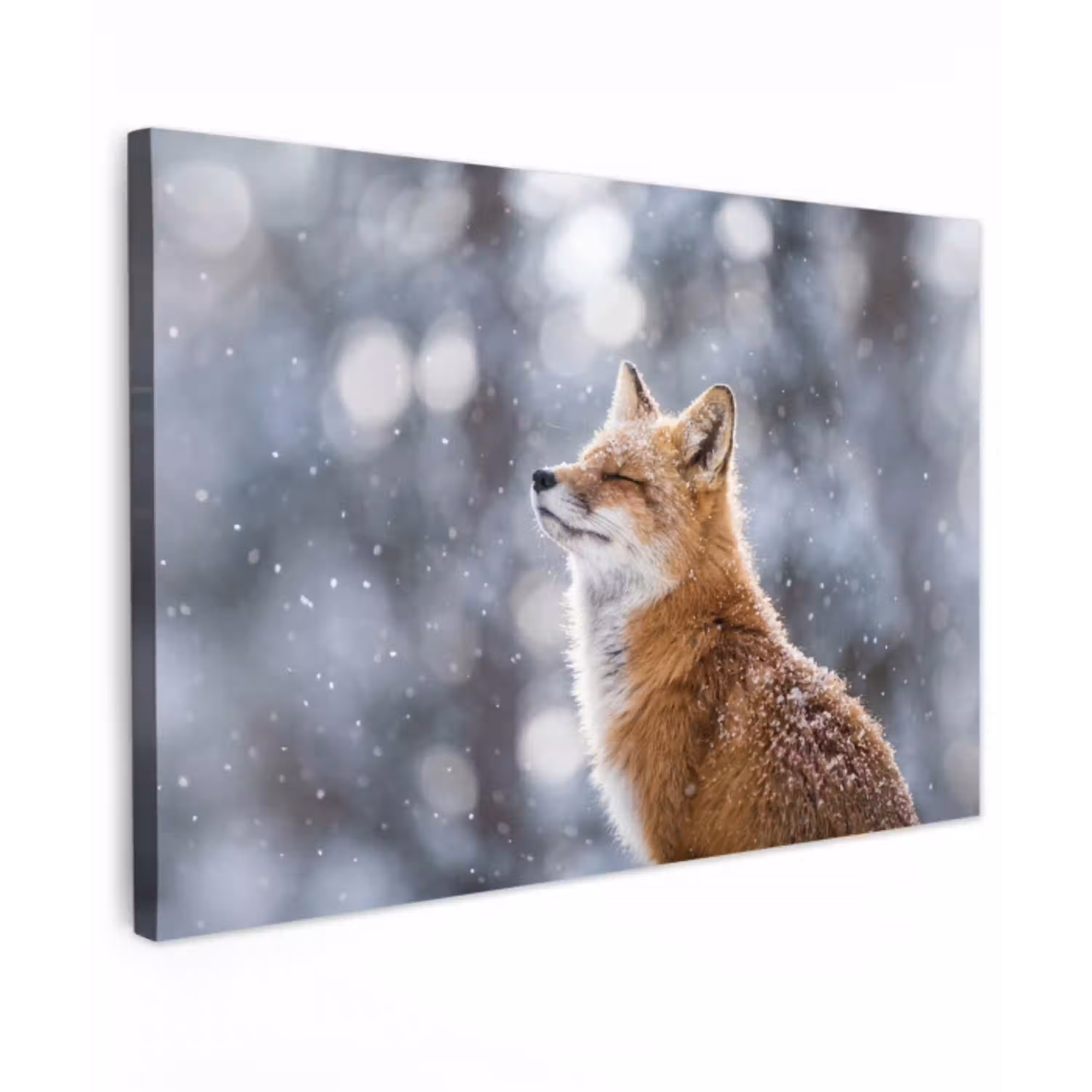 Vos - Sneeuwval - Portret - Winter - Sfeervol canvas 2cm klein -z3d
