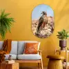 Valk - Vogel - Rots - Macht Wandcirkel Ovaal Glas middel -sfeer4