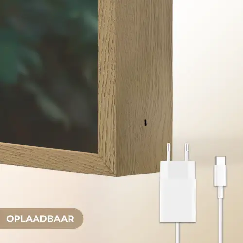 Blad - Chrysant - Roze - Schaduw Light Box met batterij (Wandlamp) middel -USP_websiteoplaadbaarNL