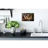 Wereldkaart - Specerijen - Kleurrijk Muursticker klein -keuken