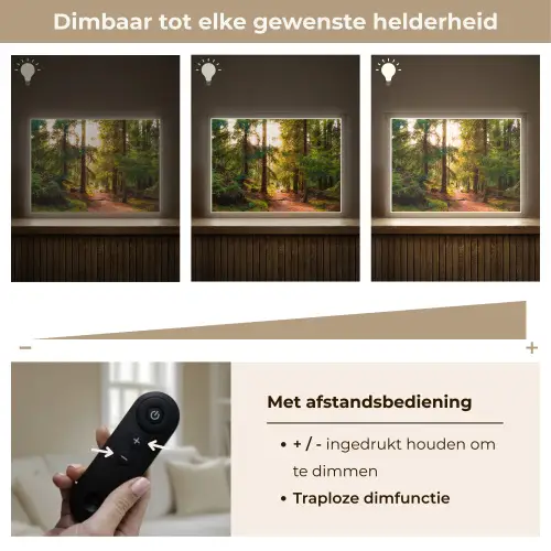 Bos - Pad - Bomen - Groen - Zon - Natuur Light Box met batterij (Wandlamp) middel -USP_dimbaarNL