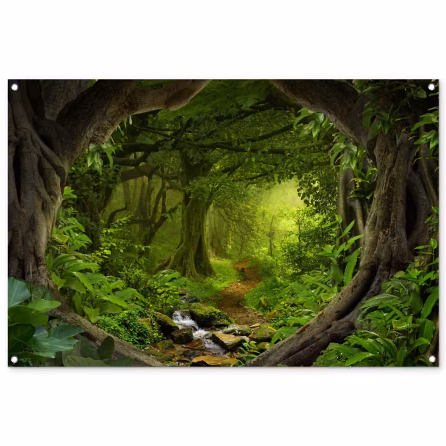 Tuinposter - Pad door het Regenwoud