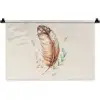 Veer - Bohemian - Boho - Pastel kleuren Wandkleed katoen klein -zz3d