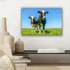 Koeien - Weiland - Gras - Dieren - Boerderij canvas 2cm klein -sfeer6
